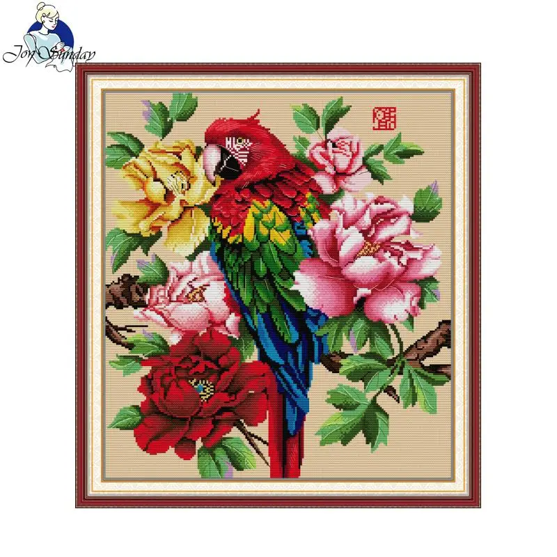Joy Sunday Beautiful Parrot Pa - Embroidery Meaning 评论和价格