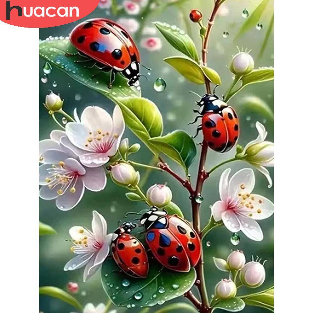 HUACAN 5d Diamond Painting Lad - Embroidery Lady Bug 评论和价格