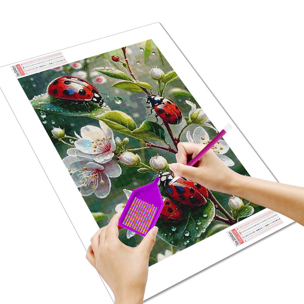 HUACAN 5d Diamond Painting Lad - Embroidery Lady Bug 评论和价格